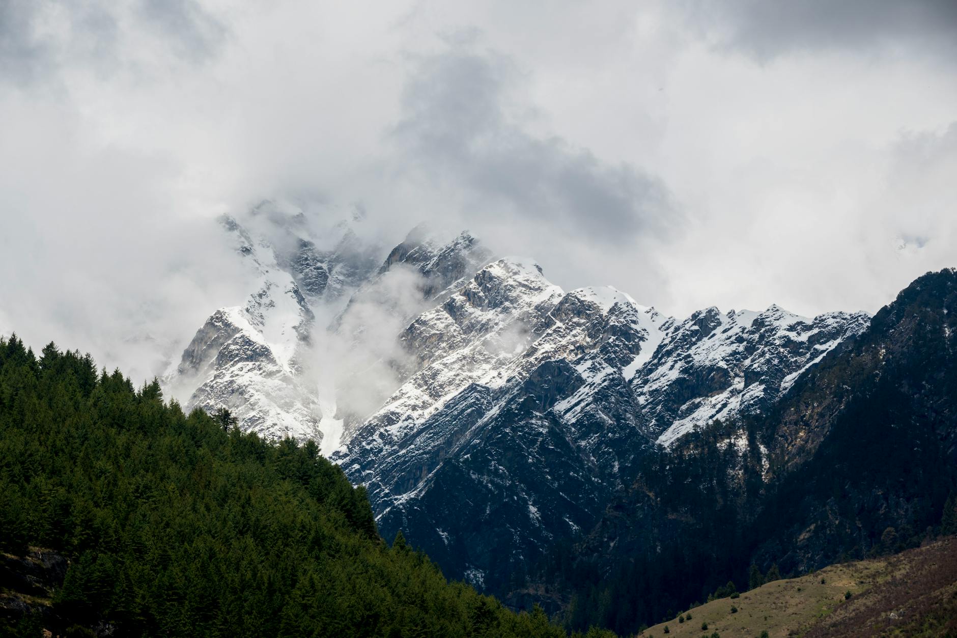 The Lifestyle — Kullu