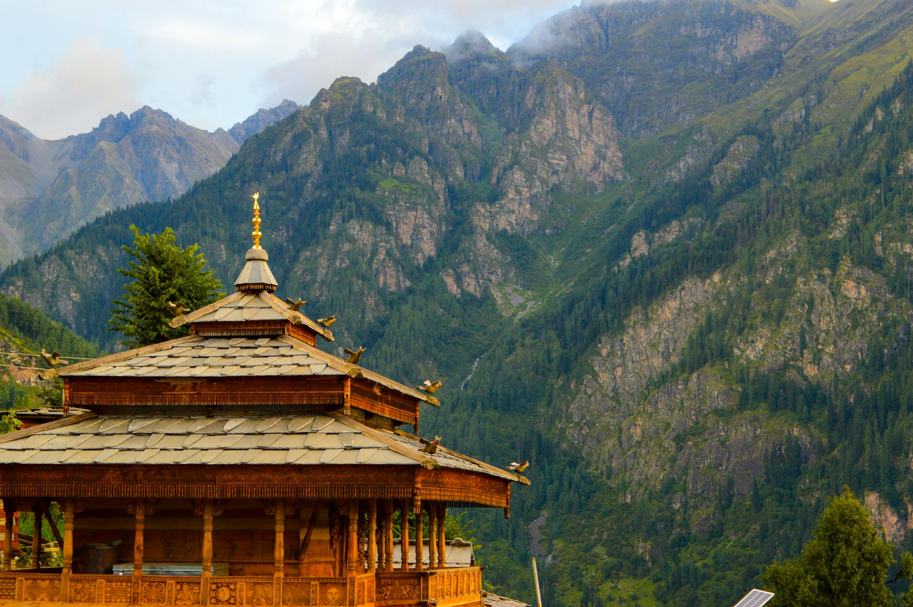What to Expect — Kullu