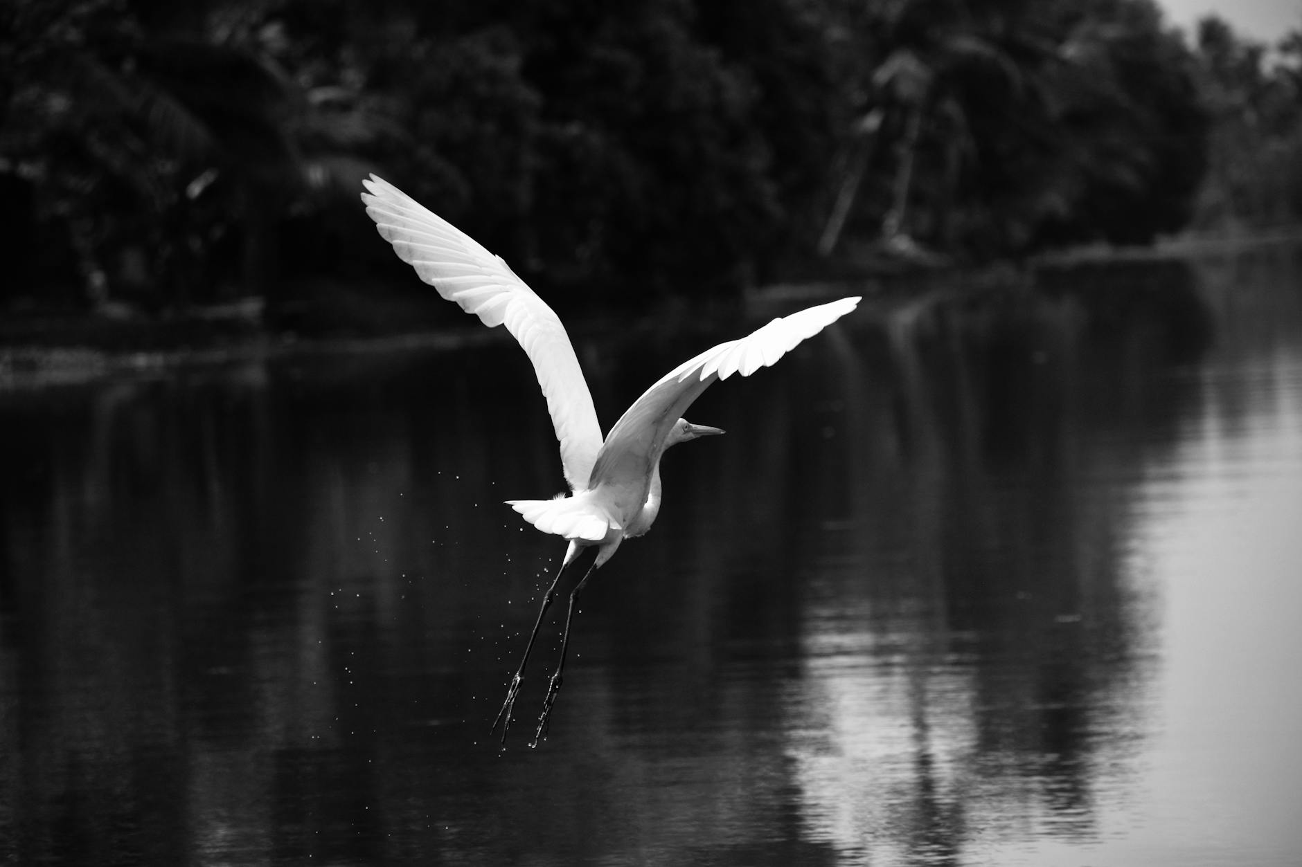 Nearby Attractions — Kumarakom