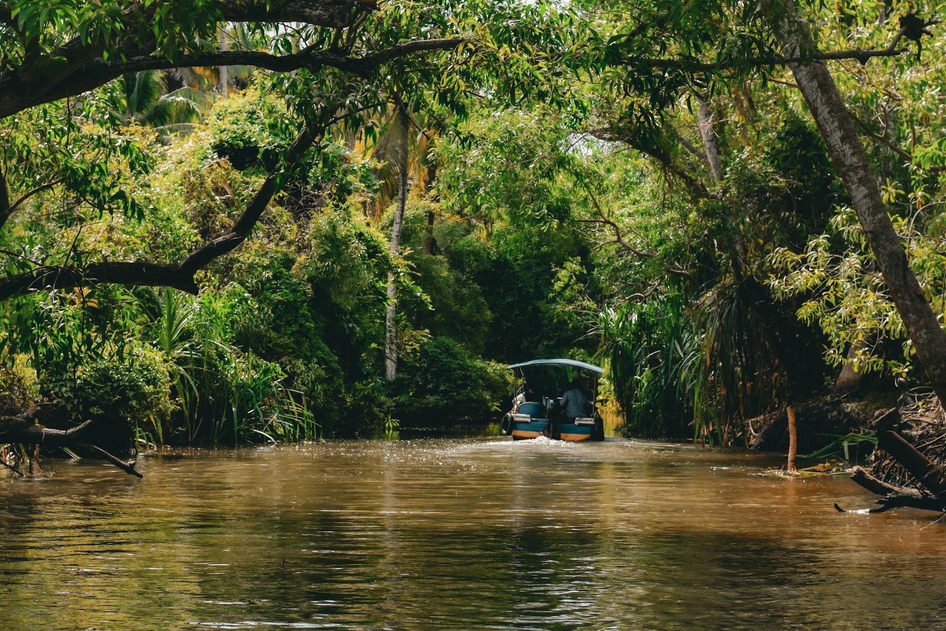 What to Expect — Kumarakom