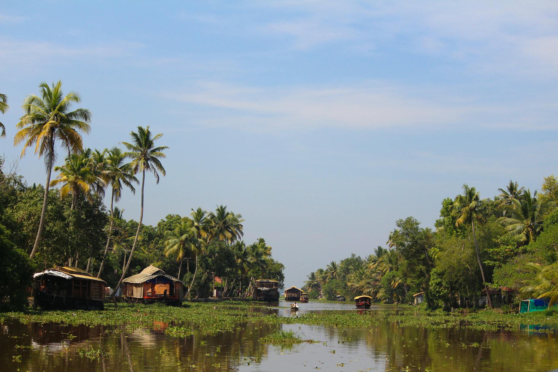 What to Expect — Kumarakom