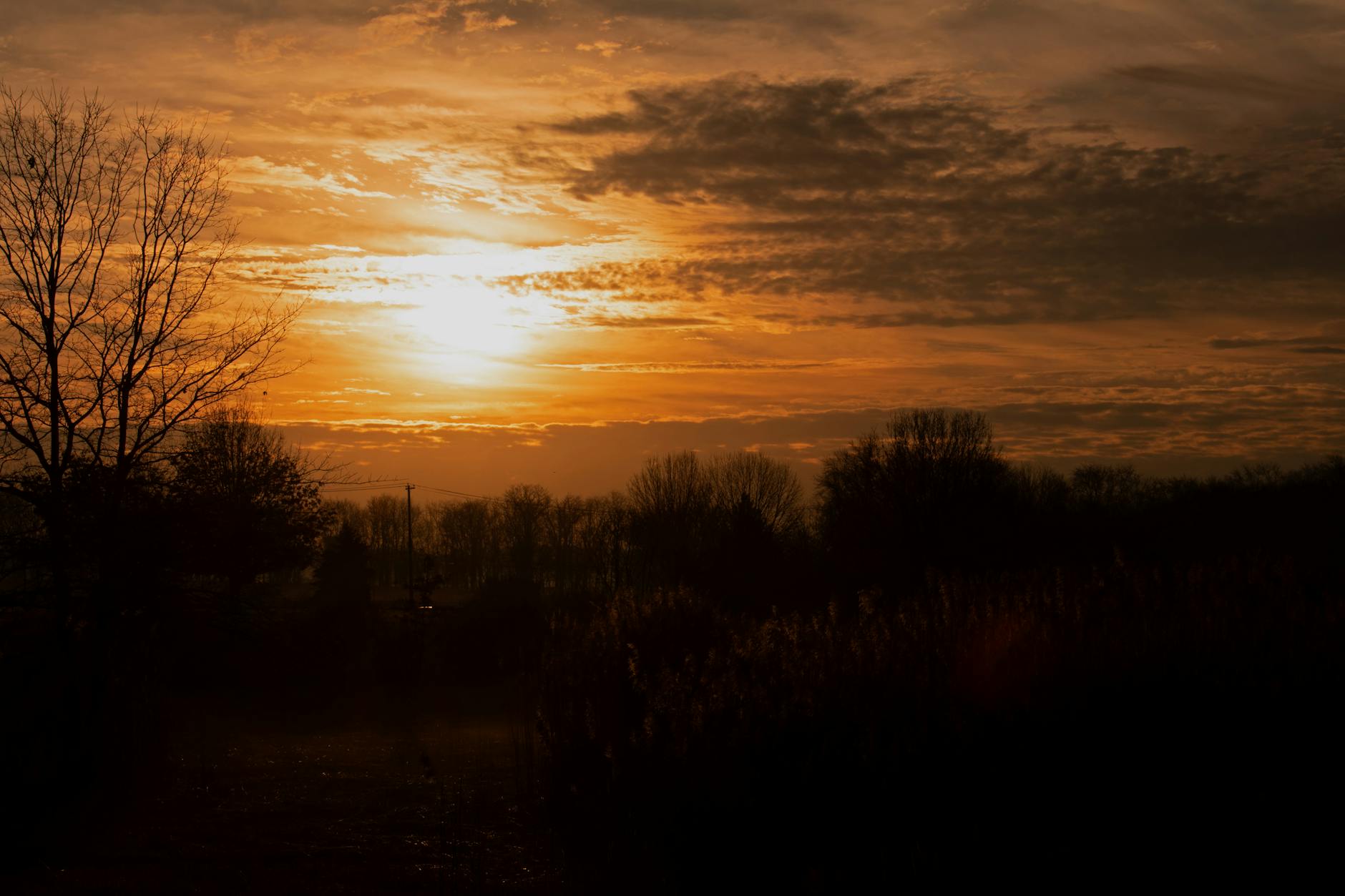 What to Expect — Lancaster County