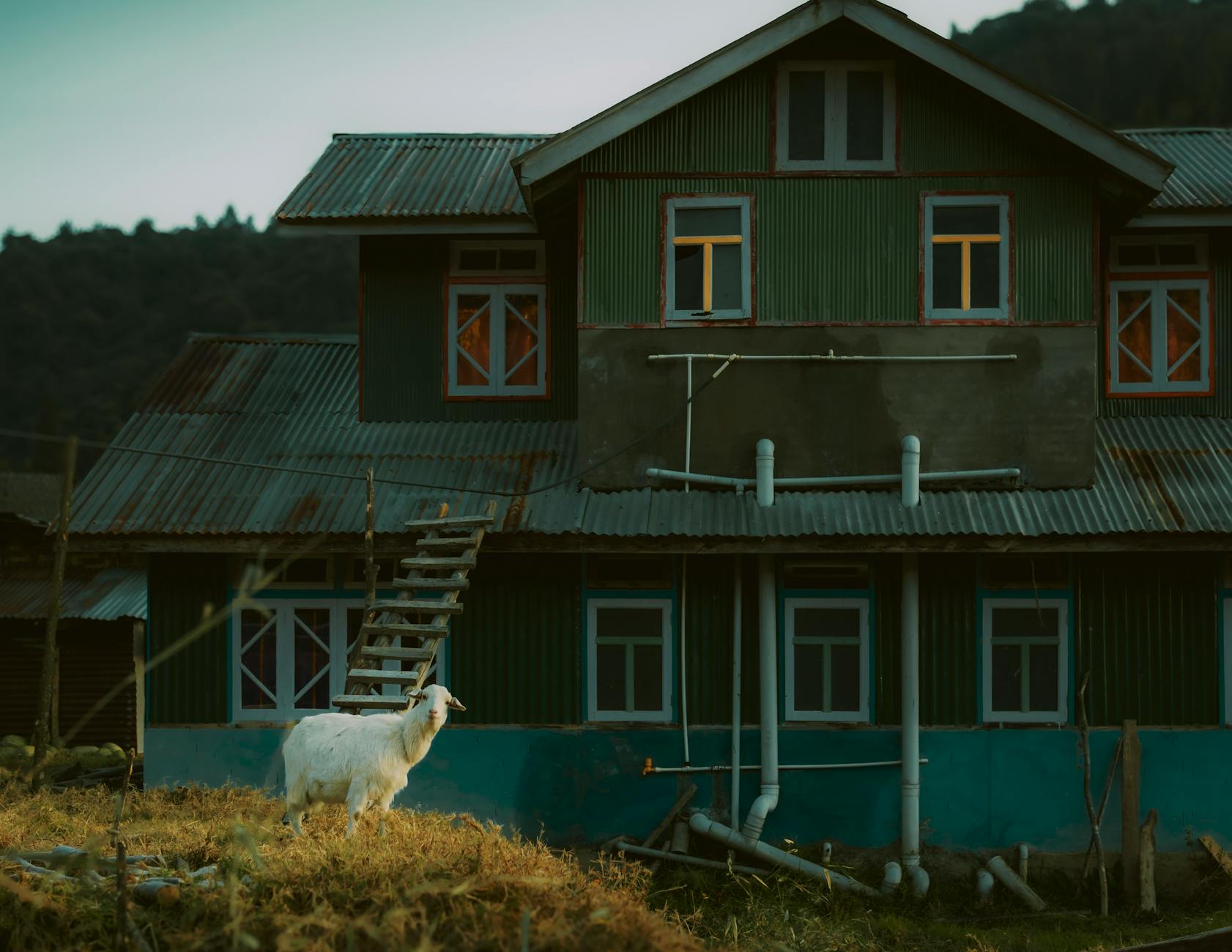 The Lifestyle — Lataguri