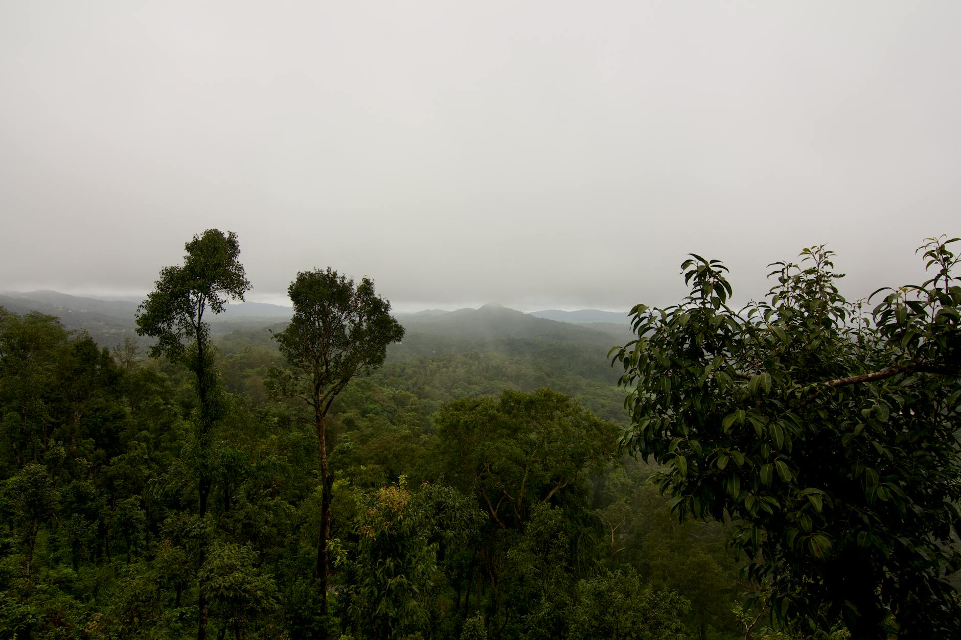 What to Expect — Madikeri
