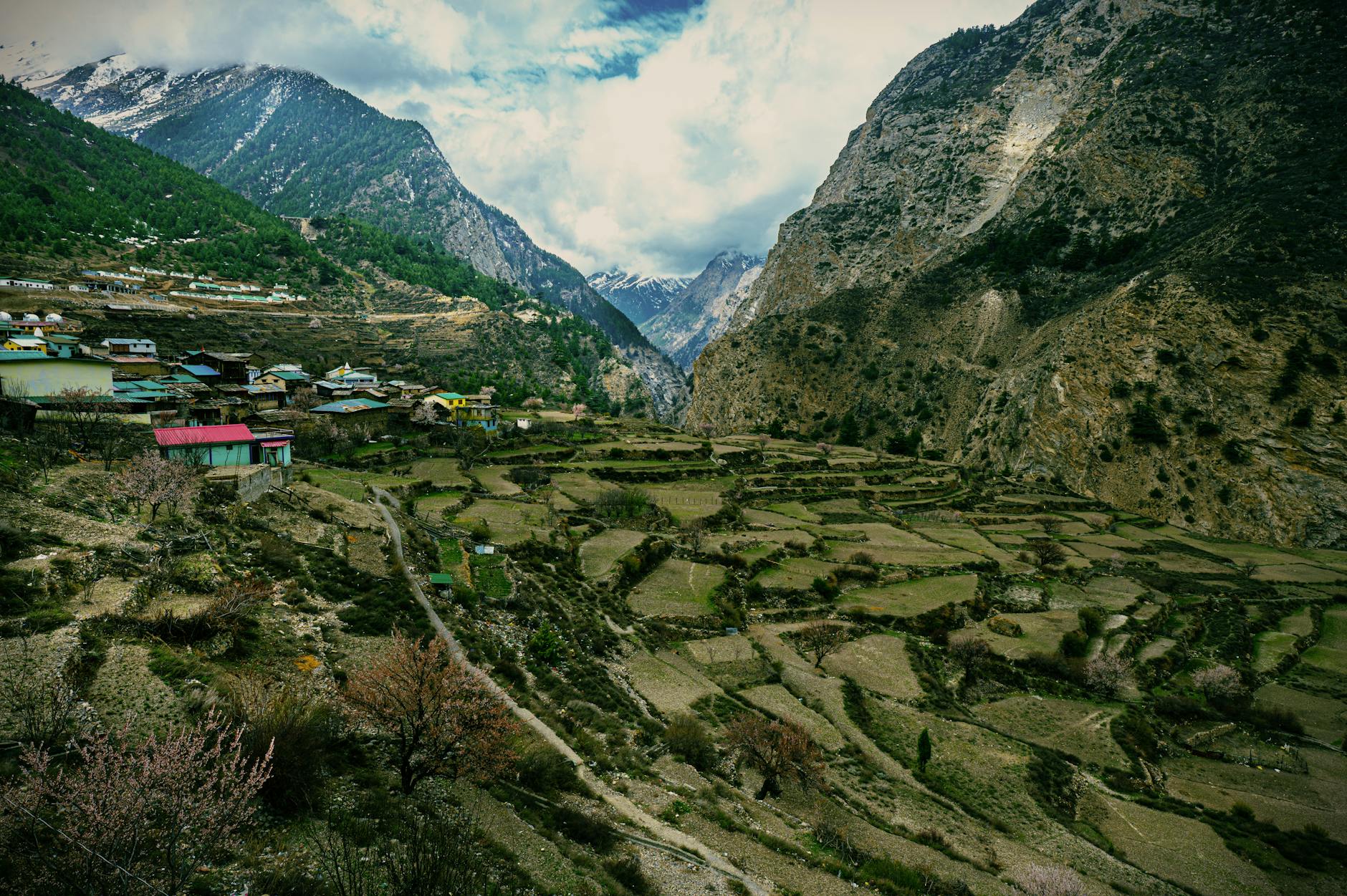 The Lifestyle — Mana Village