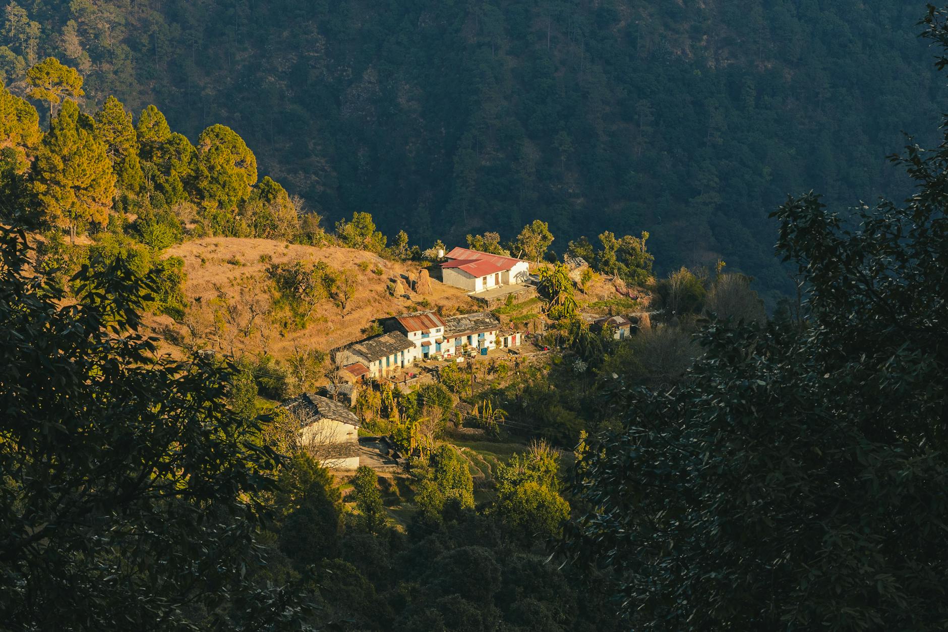 The Lifestyle — Marchula Village