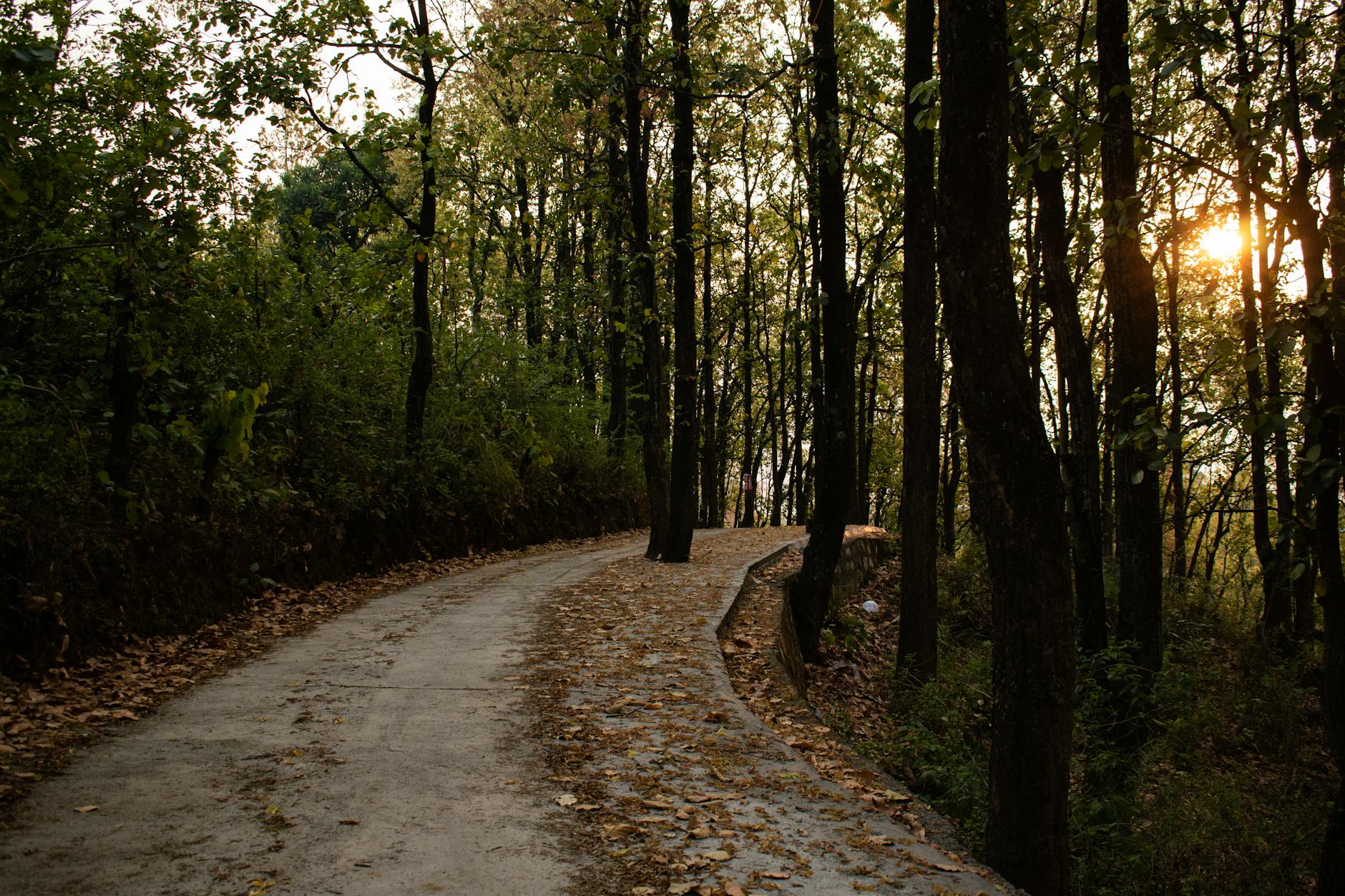 Nearby Attractions — Mohkampur