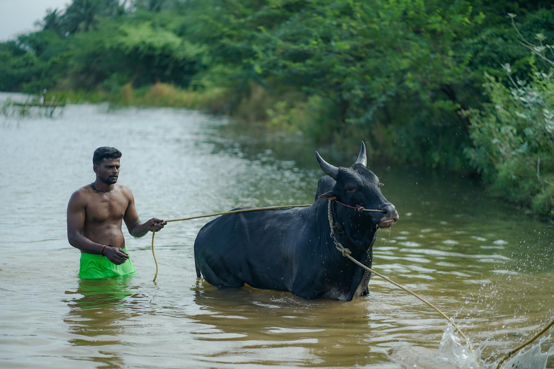 The Lifestyle — Mudisadanapalli