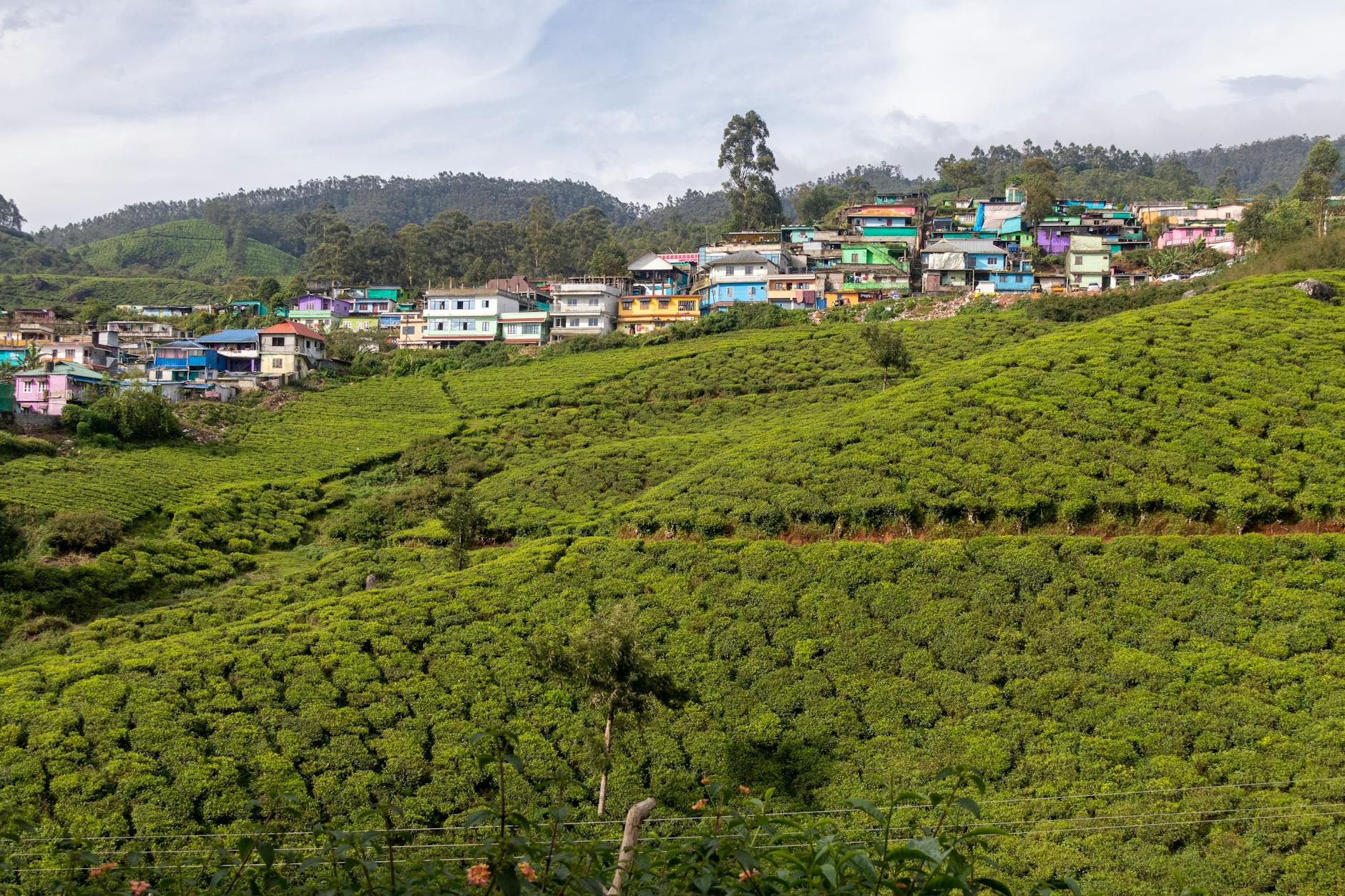 A Look into Munnar — Munnar