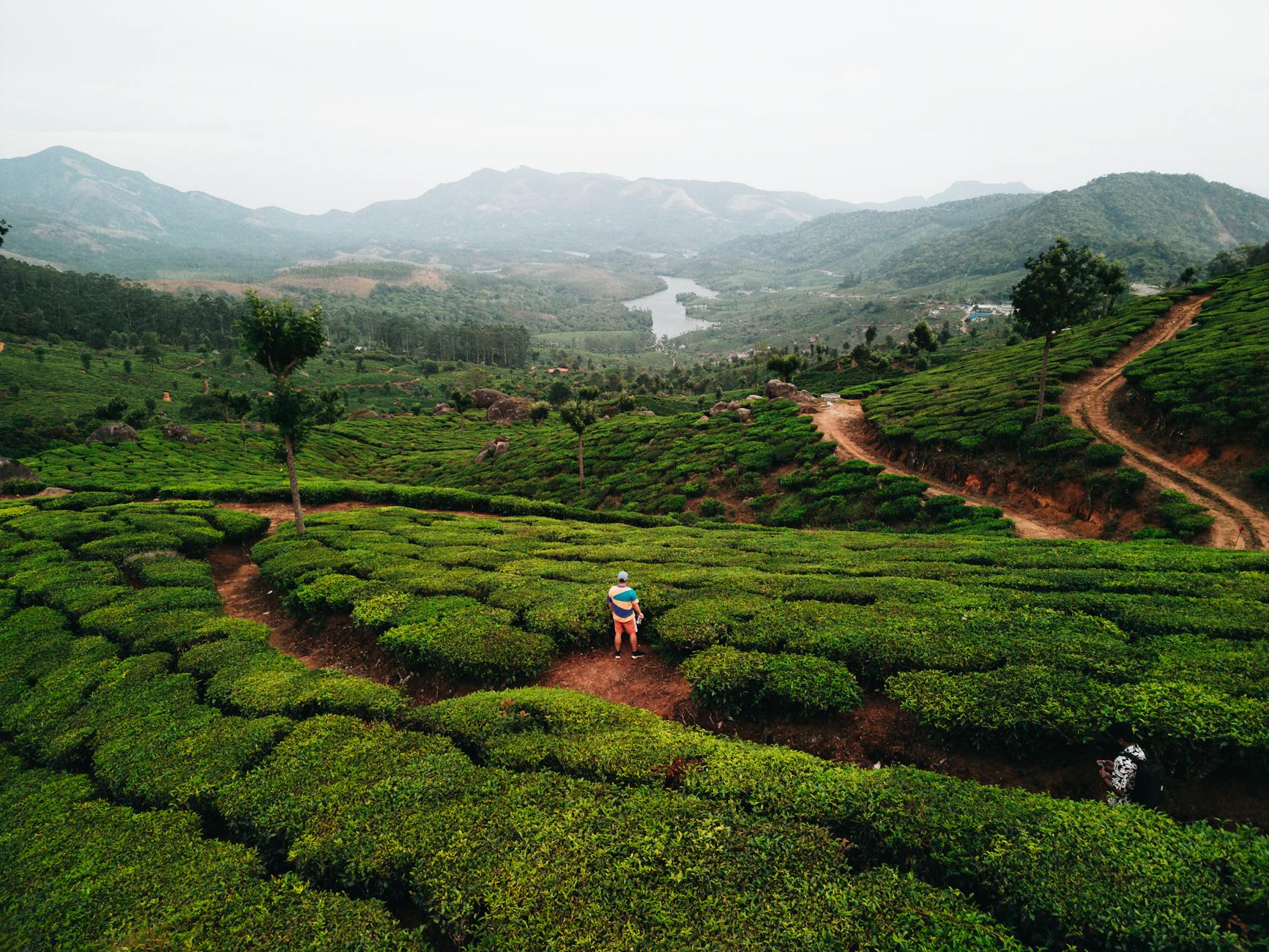 Nearby Attractions — Munnar
