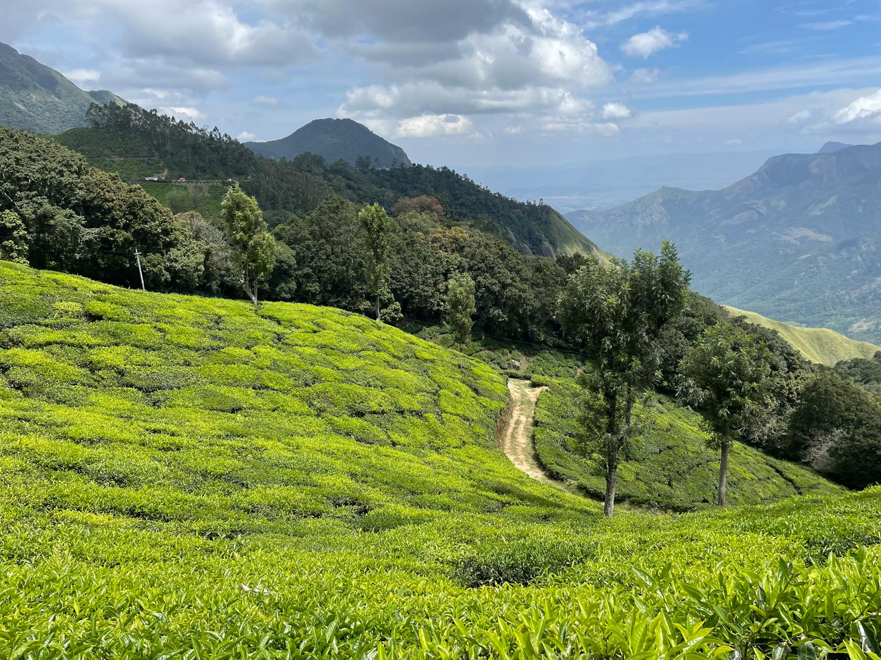 The Lifestyle — Munnar
