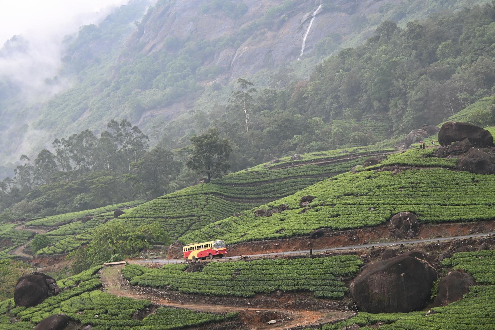 What to Expect — Munnar
