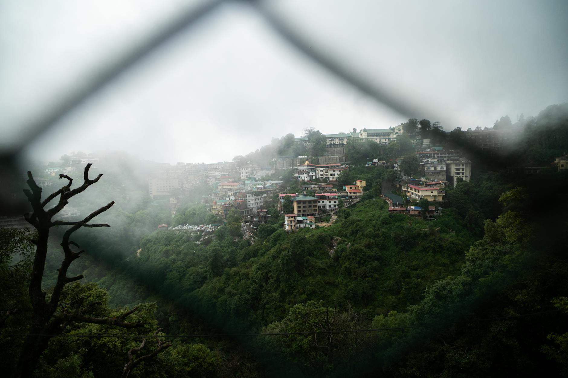 The Lifestyle — Mussoorie