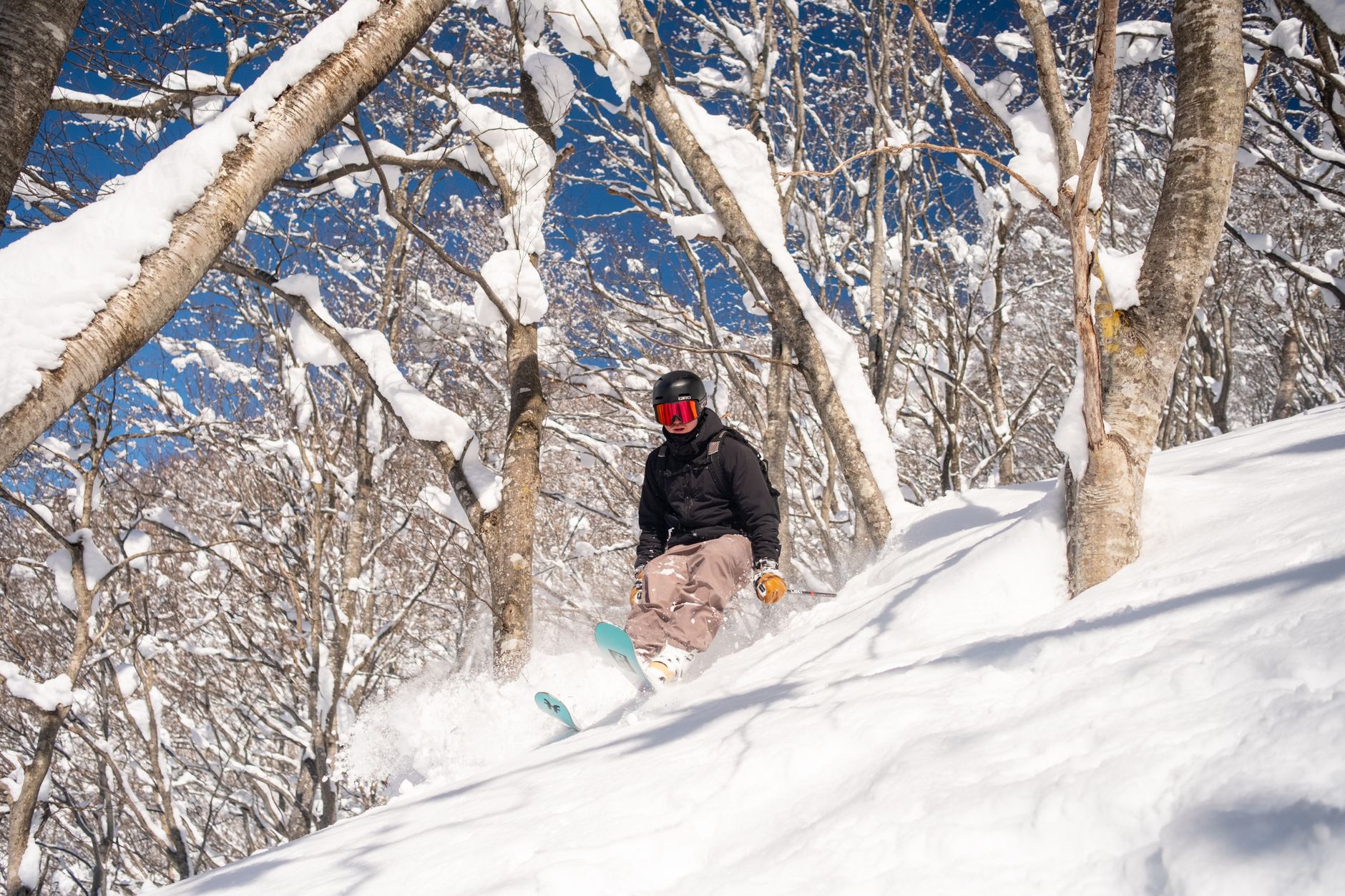 The Lifestyle — Myoko