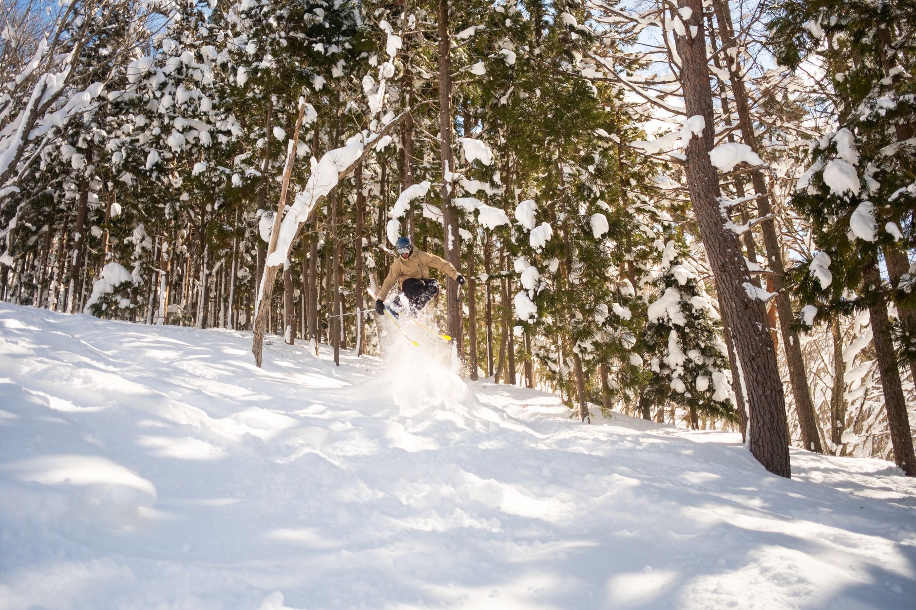 What to Expect — Myoko