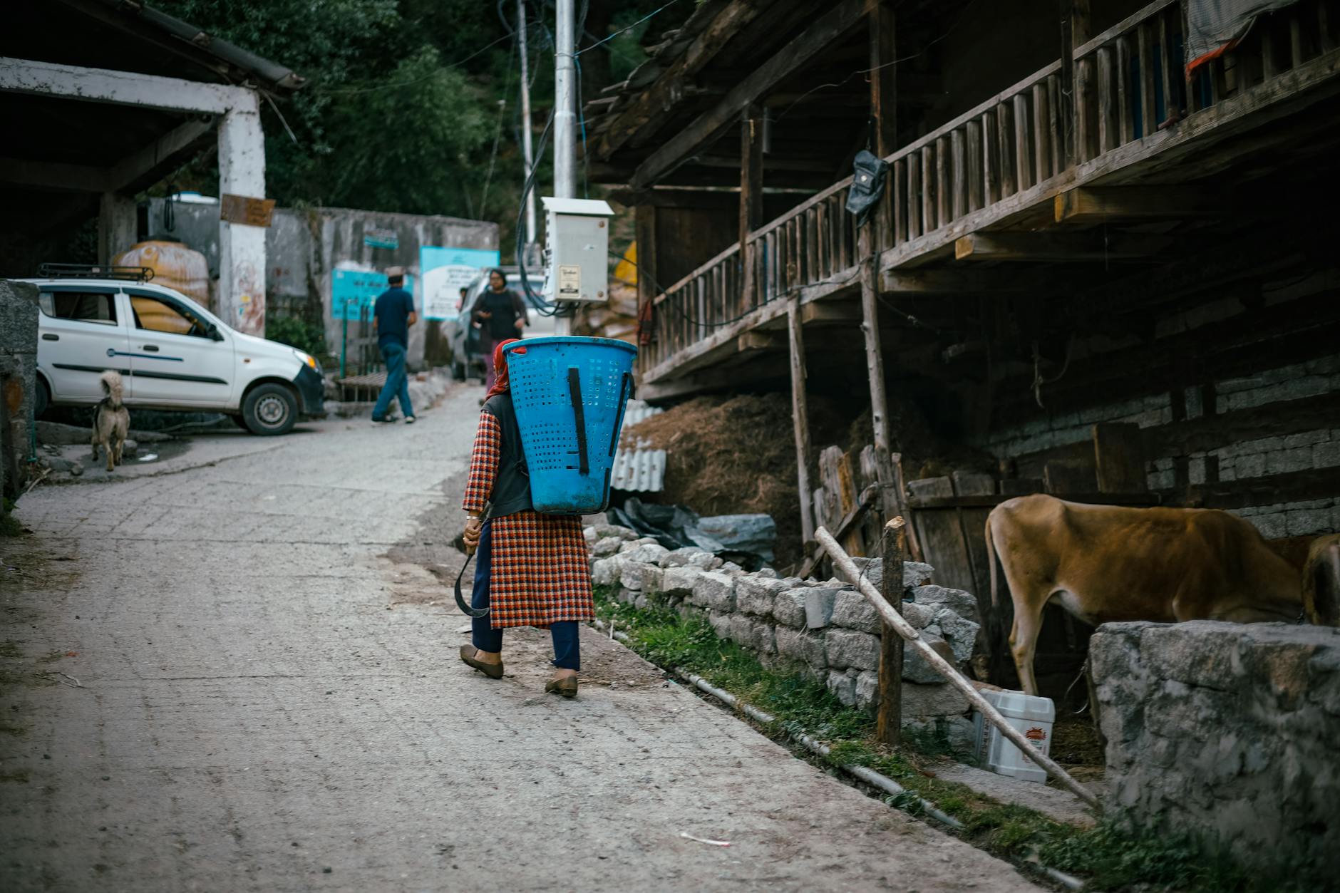 A Look into Naggar — Naggar