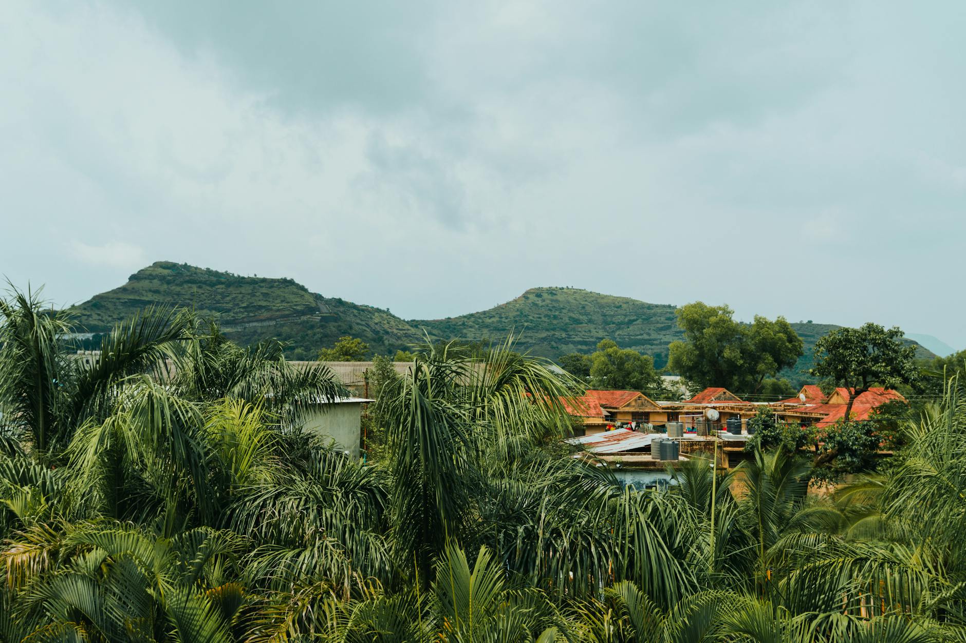 What to Expect — Naigaon