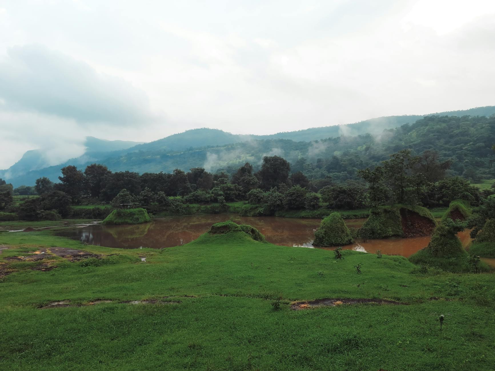 What to Expect — Naigaon