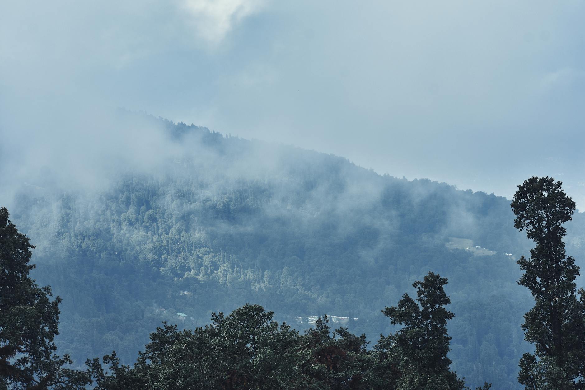 What to Expect — Naldehra