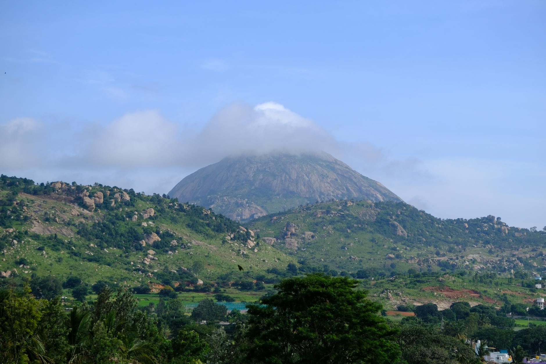 What to Expect — Nandi Hills