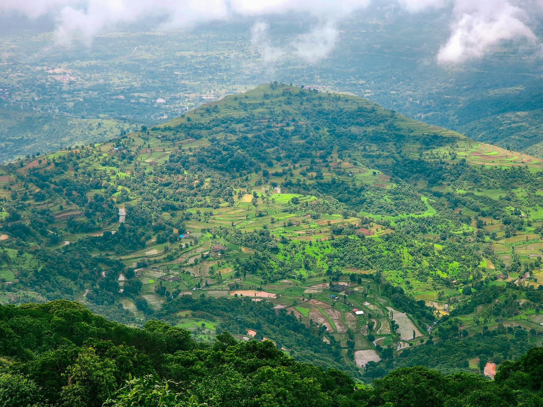 What to Expect — Nashik