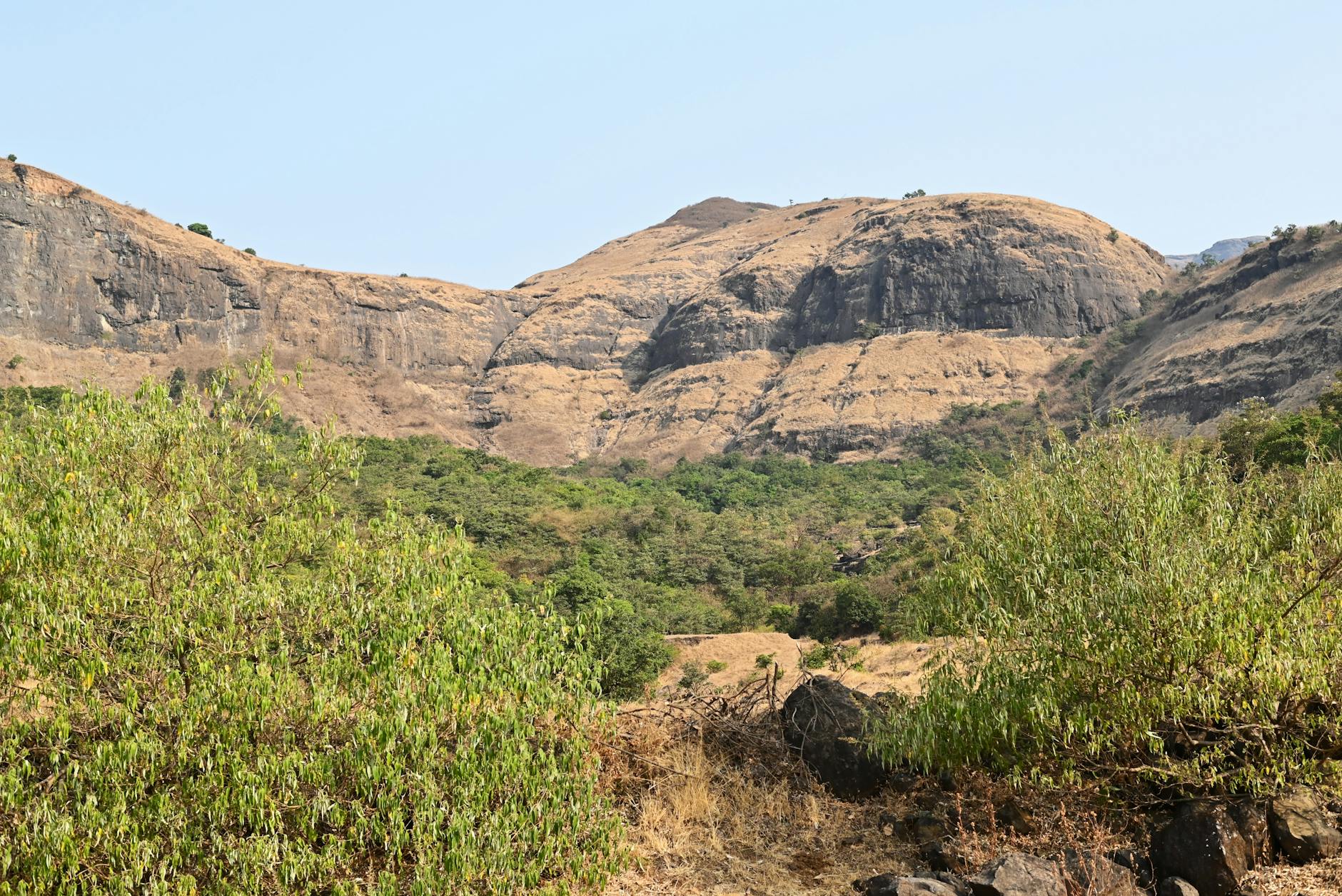 What to Expect — Nashik