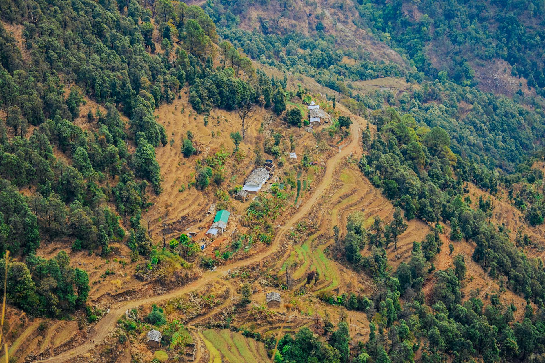 What to Expect — Nata Dol