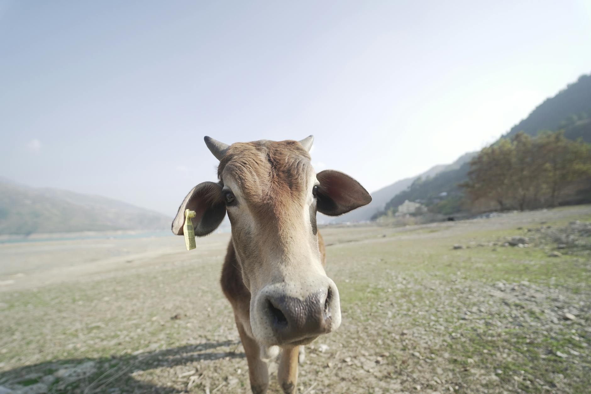The Lifestyle — New Tehri