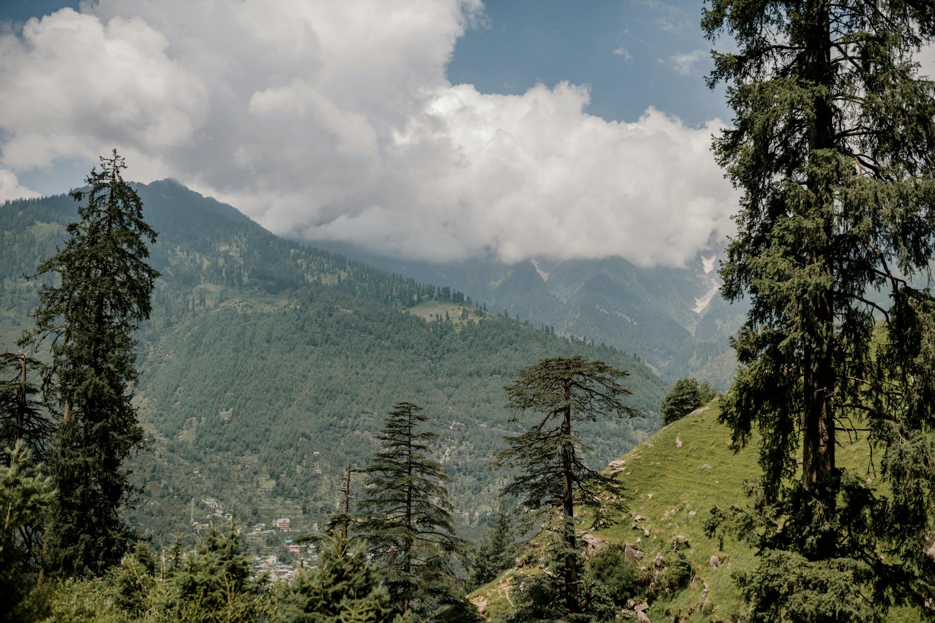 The Lifestyle — Old Manali