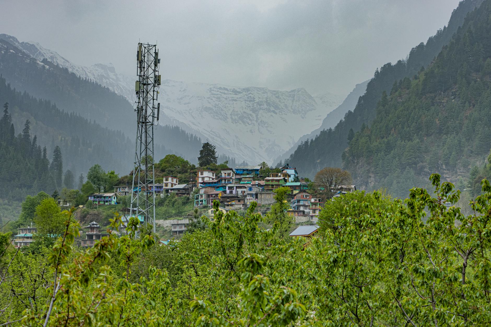 What to Expect — Old Manali