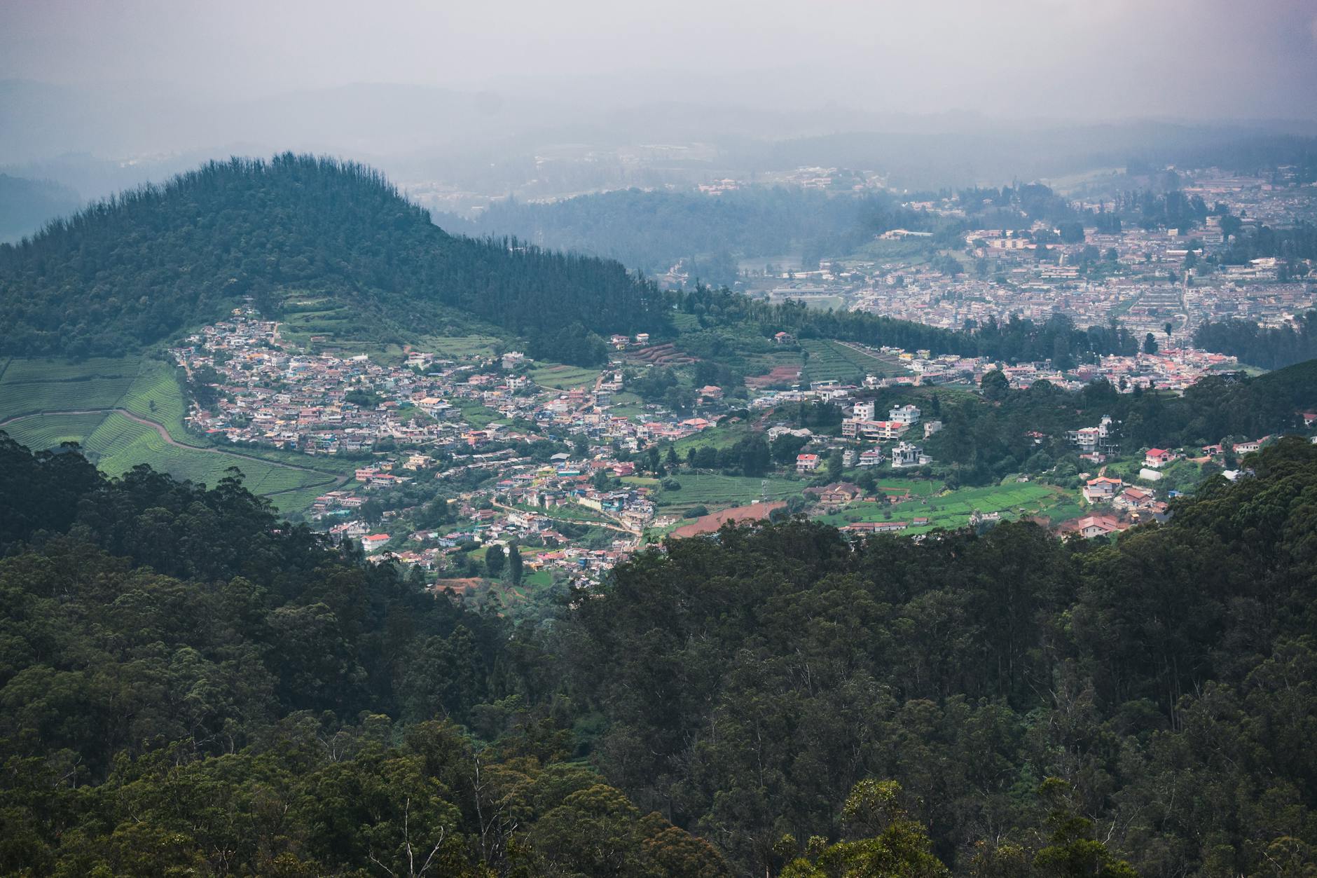 The Lifestyle — Ooty