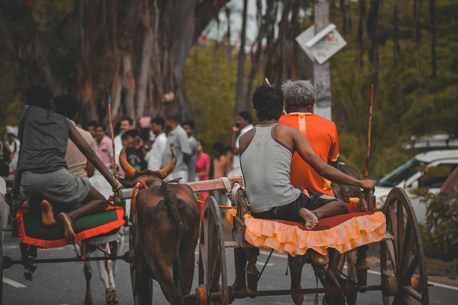 The Lifestyle — Pachapanatti