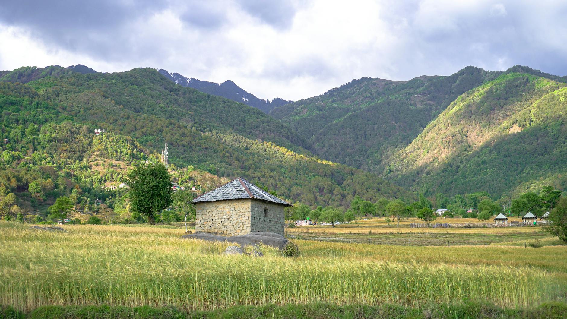 What to Expect — Palampur