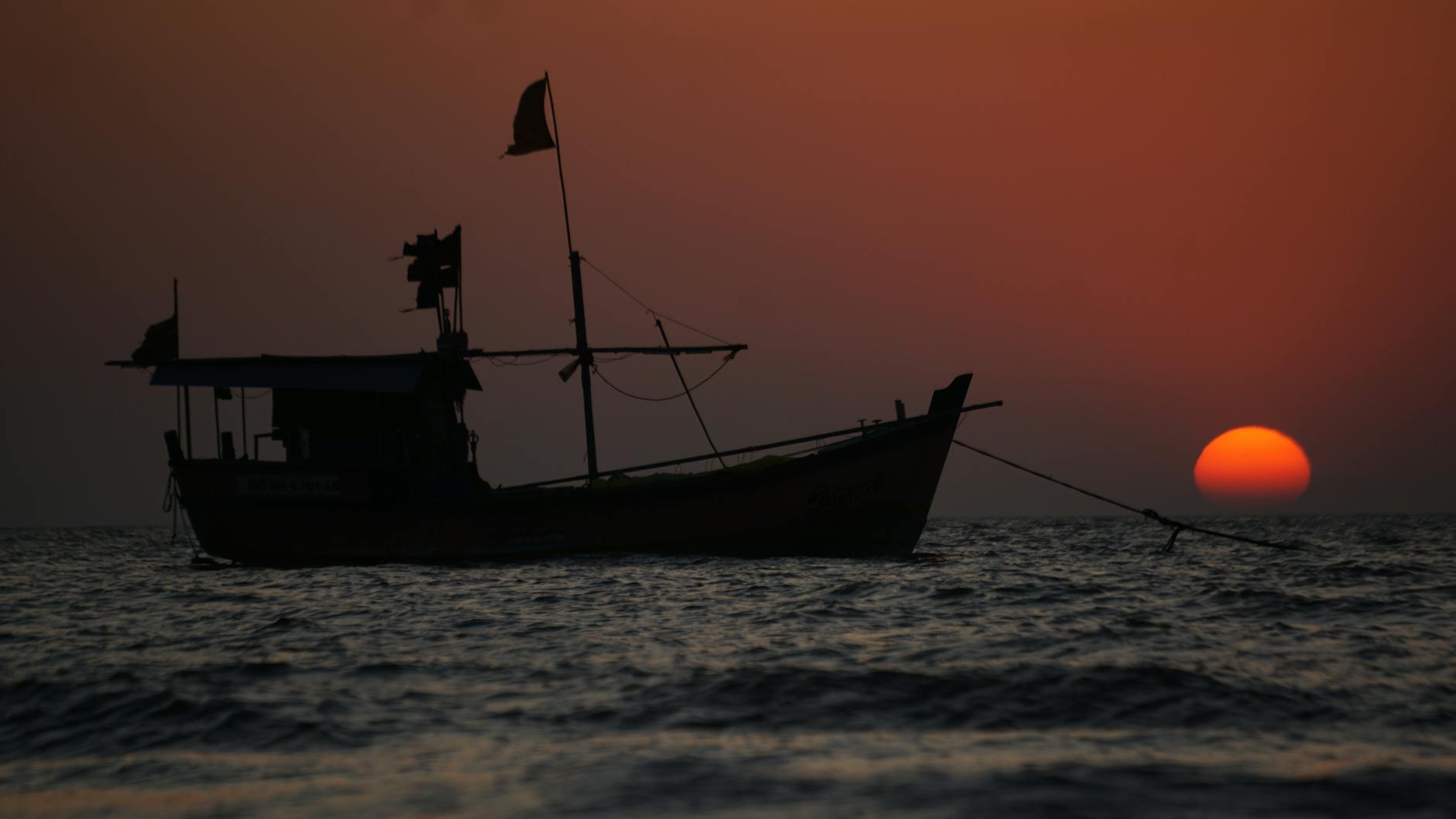 What to Expect — Palghar
