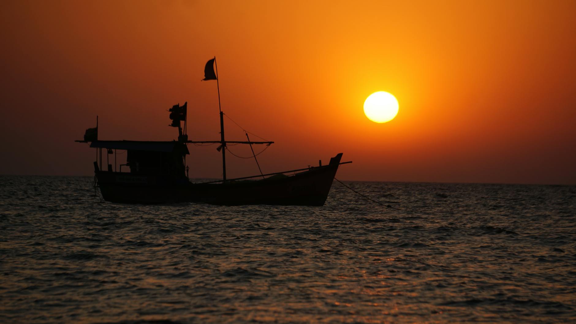 What to Expect — Palghar