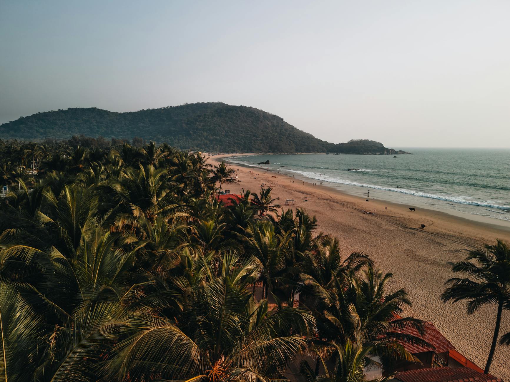 What to Expect — Palolem