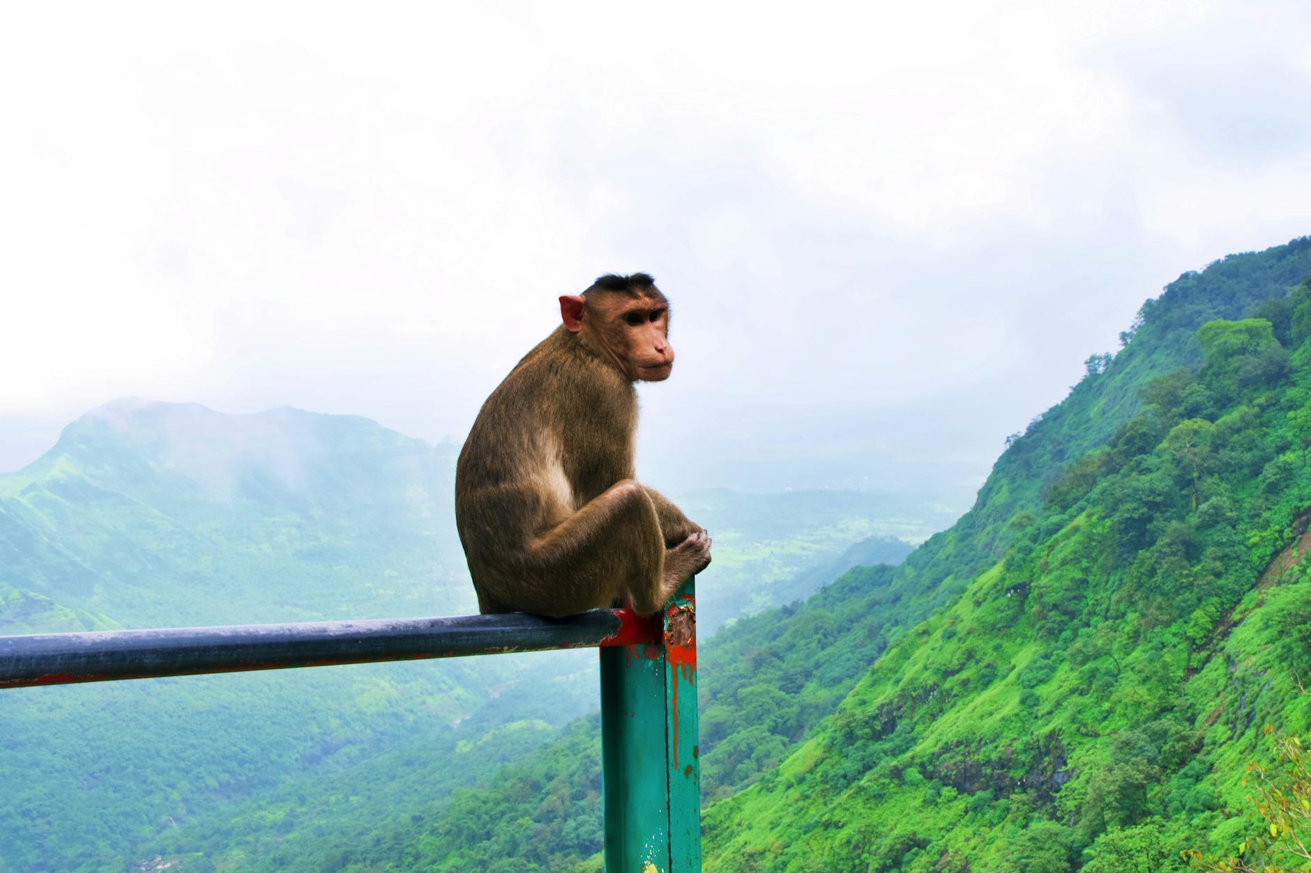 What to Expect — Panchgani