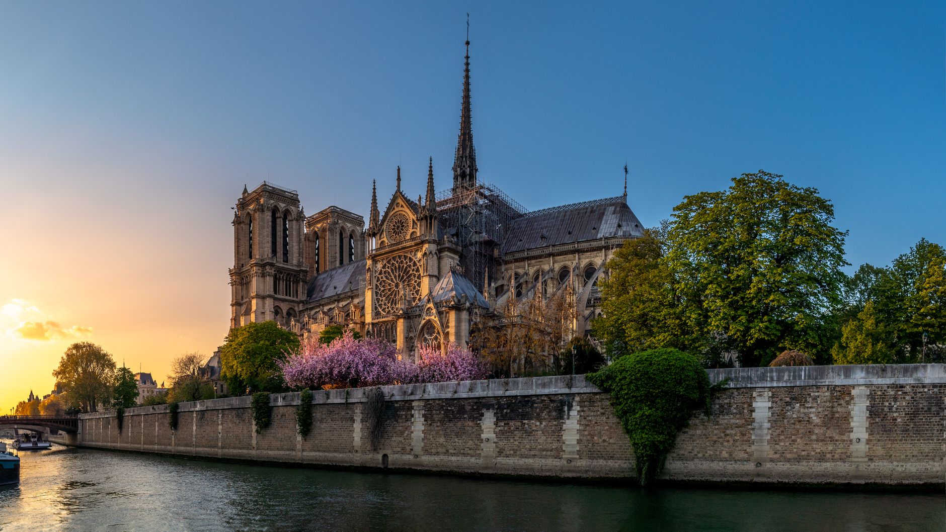 What to Expect — Paris