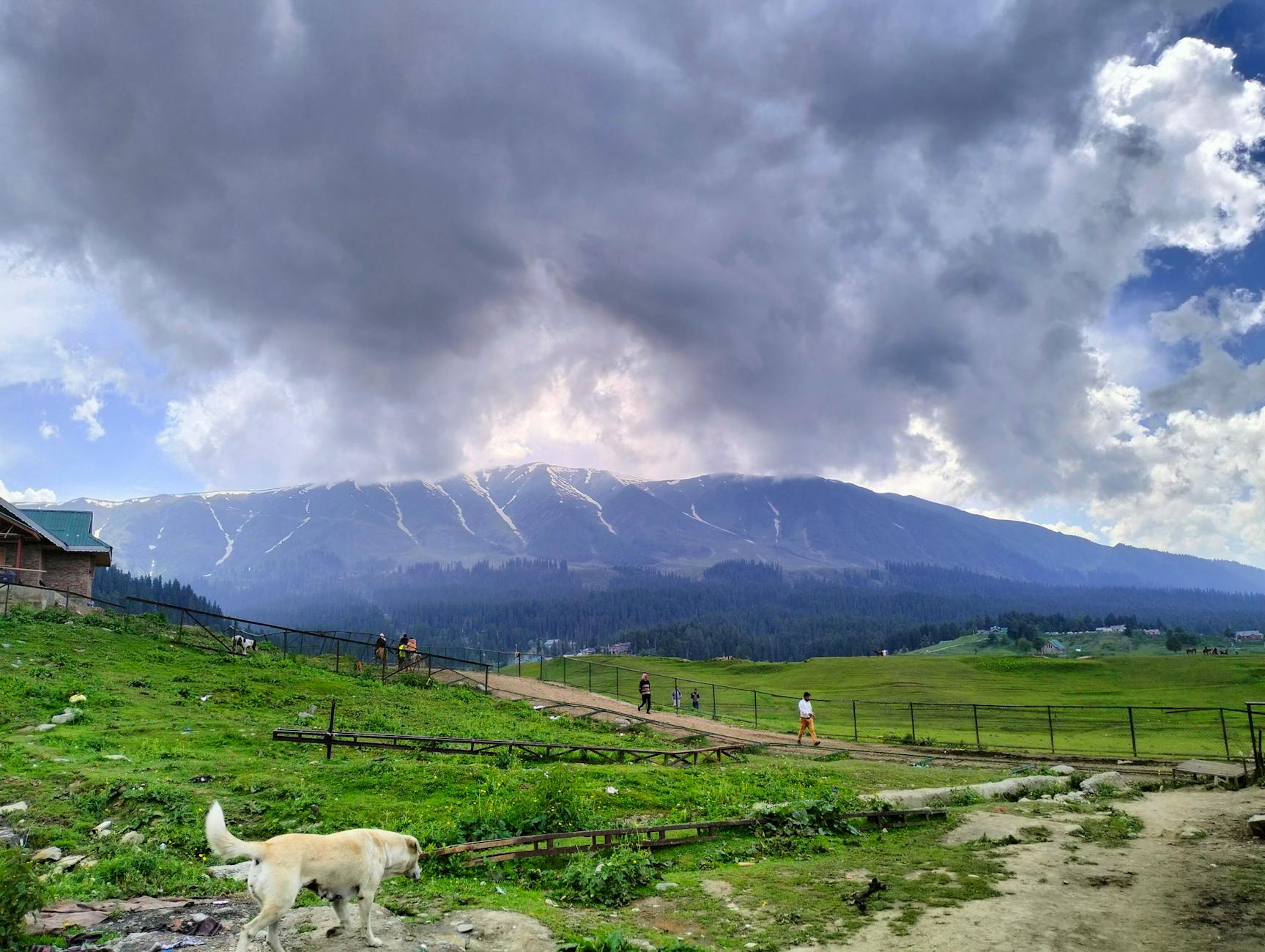 Nearby Attractions — Patnitop