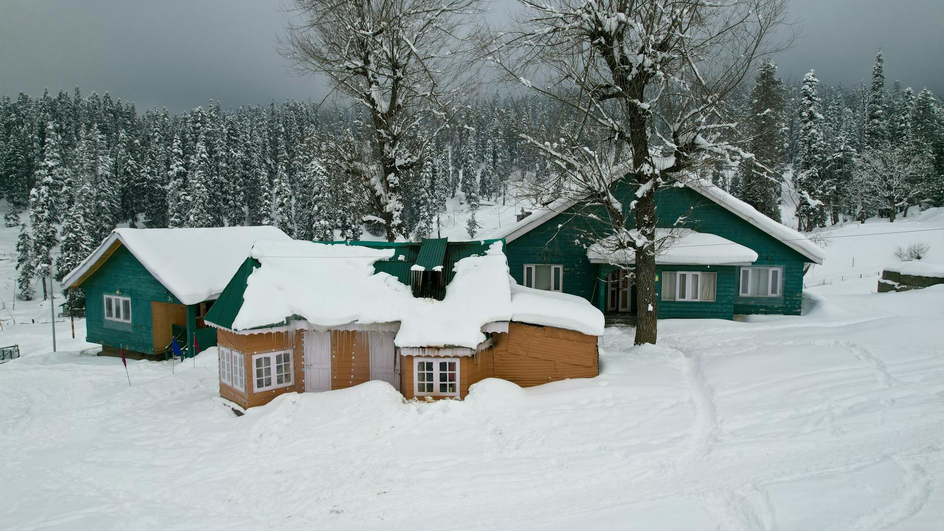 What to Expect — Patnitop