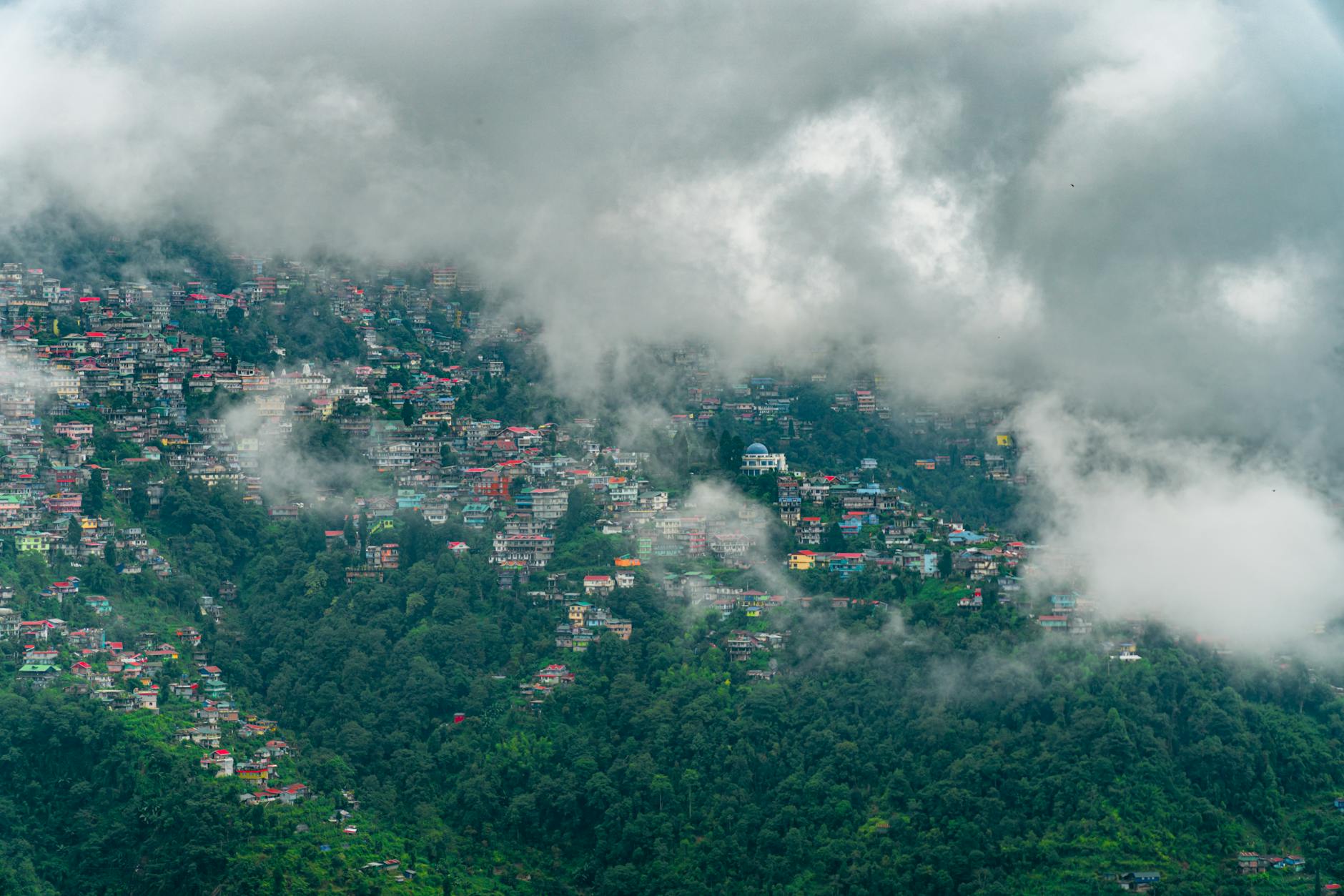 A Look into Pelling Forest Blocks — Pelling Forest Blocks