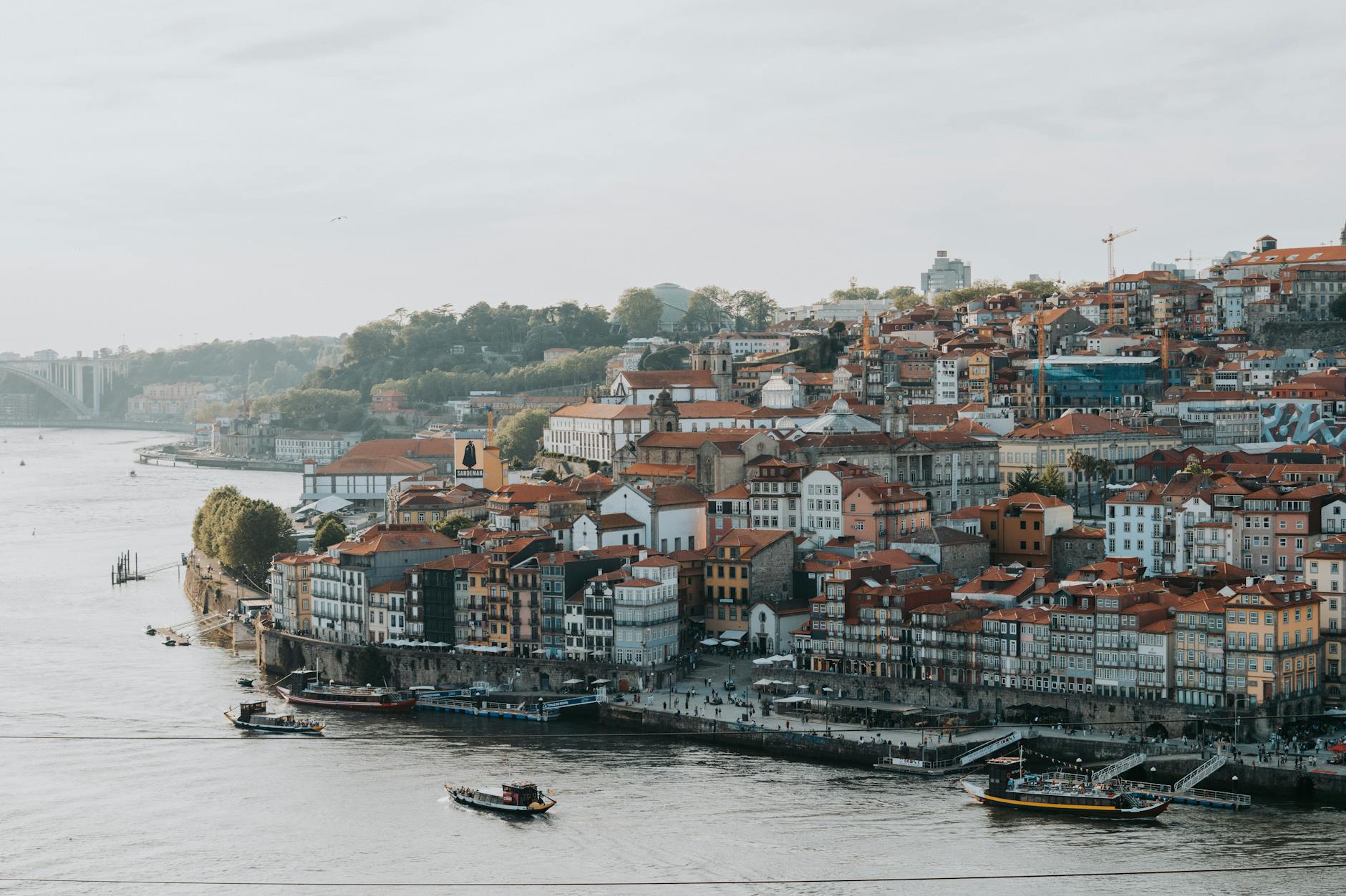 What to Expect — Porto Ribeira
