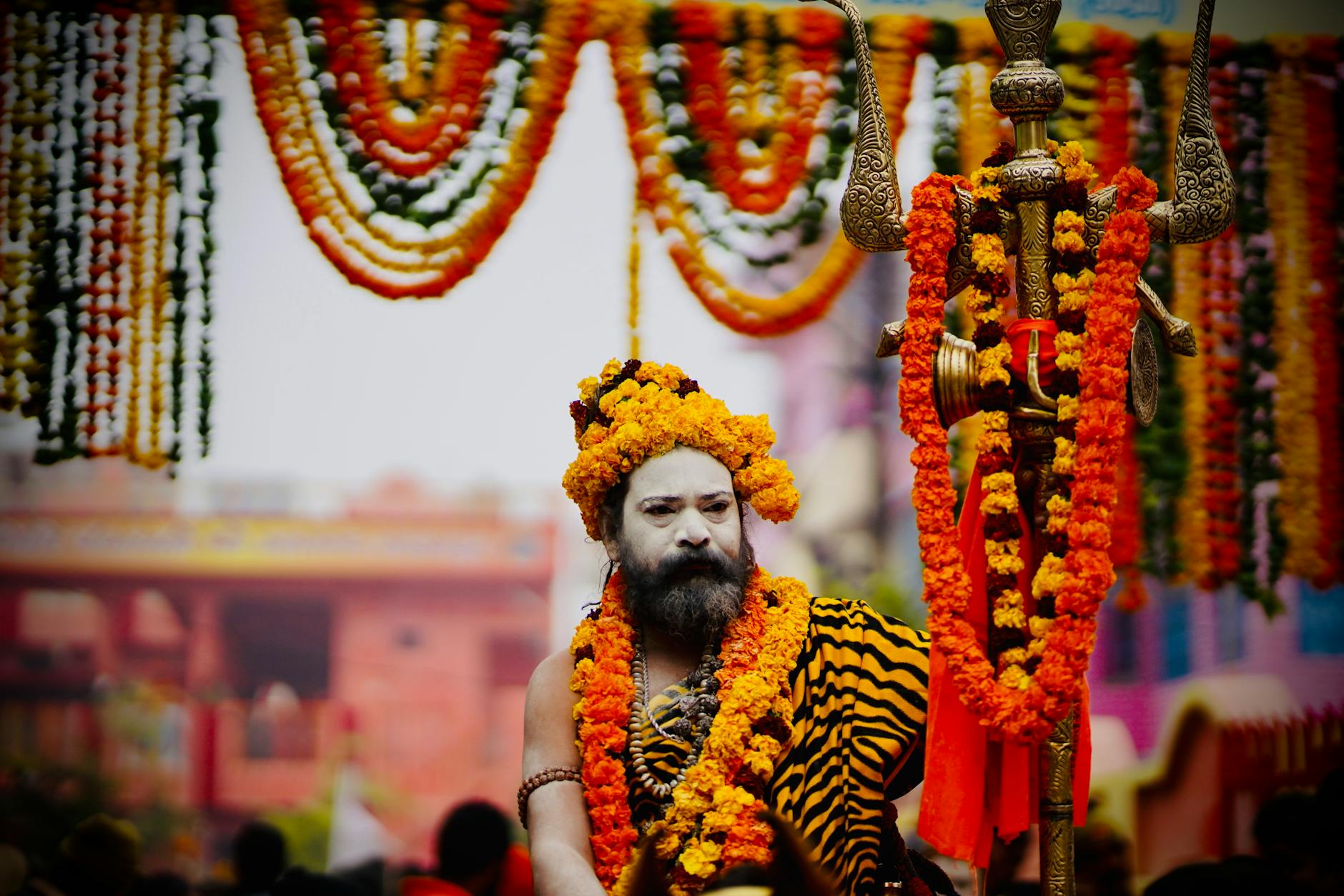 The Lifestyle — Prayagraj