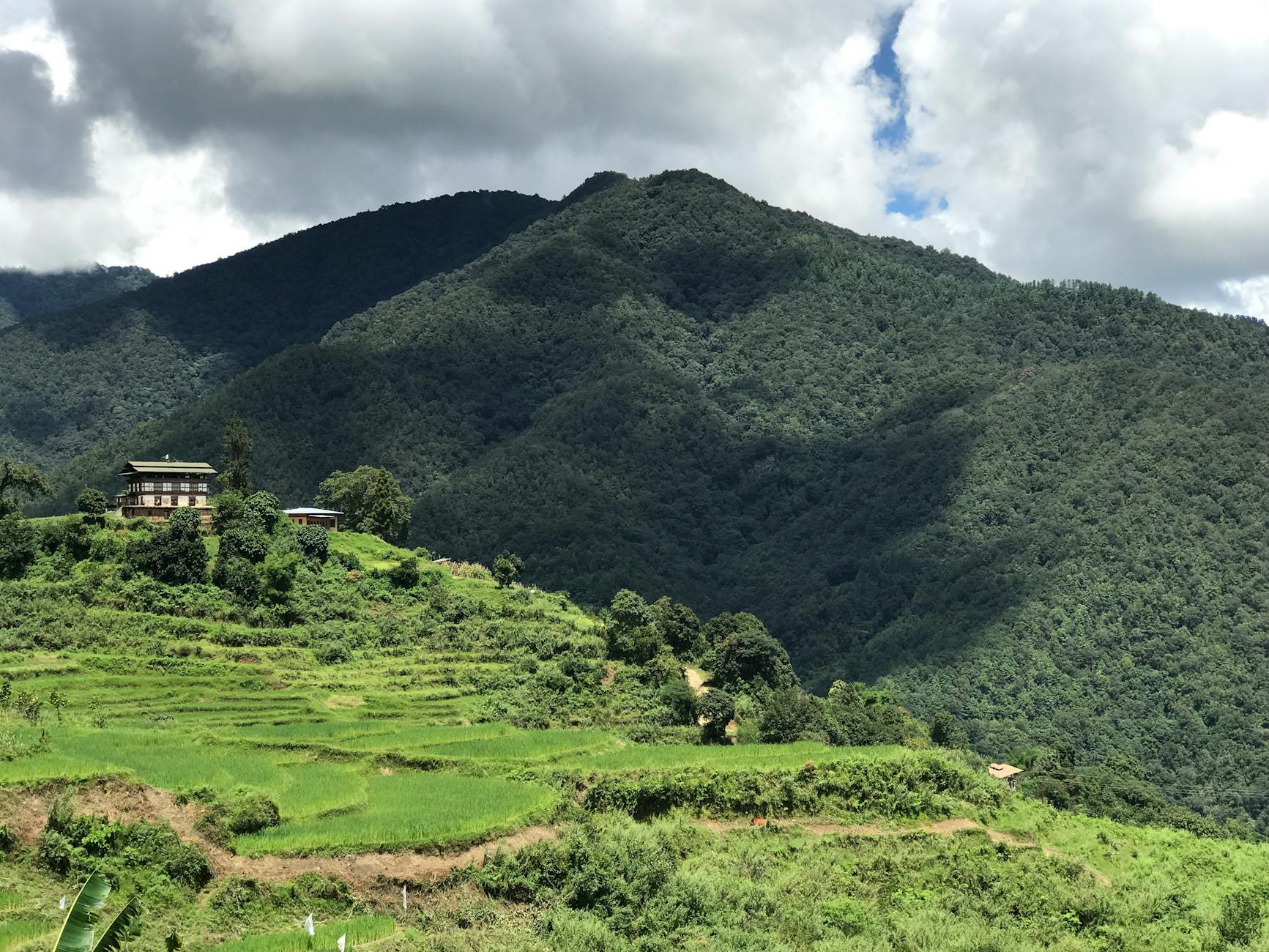 What to Expect — Punakha