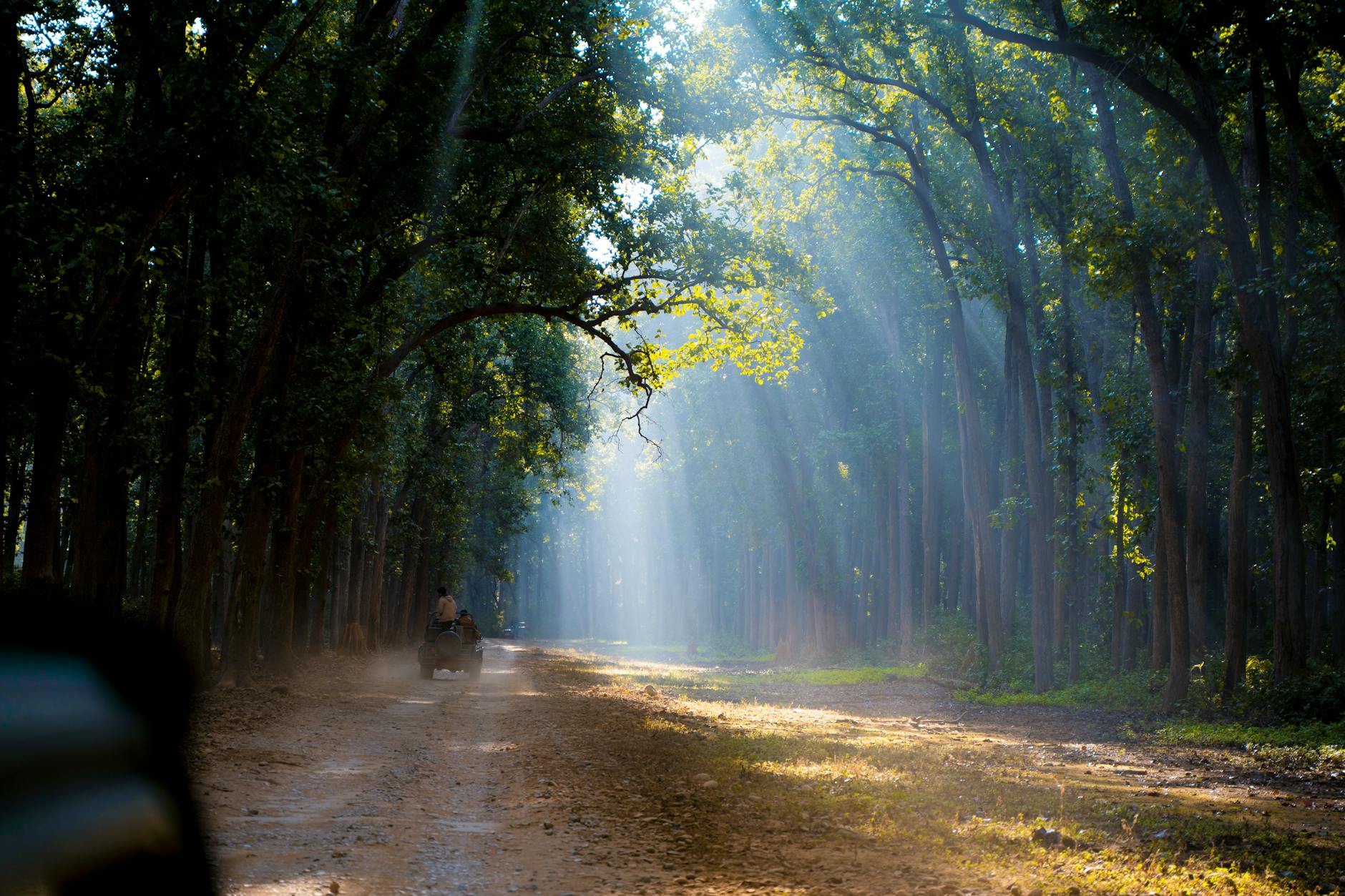 What to Expect — Ramnagar