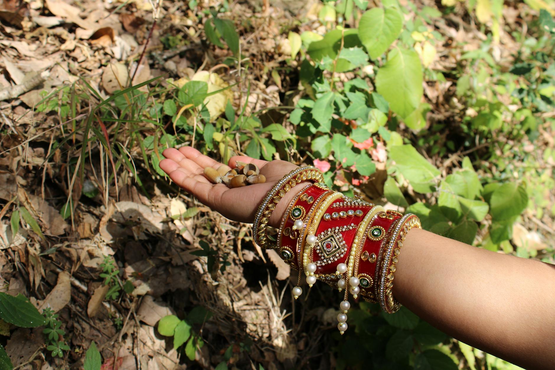 The Lifestyle — Ranikhet