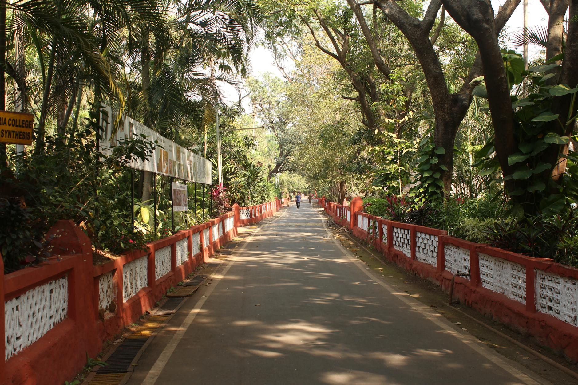 The Lifestyle — Sadapur