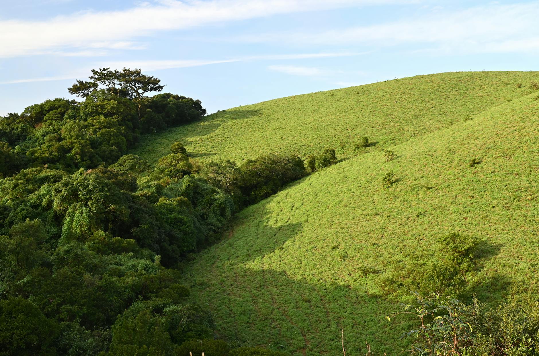 What to Expect — Sakleshpur