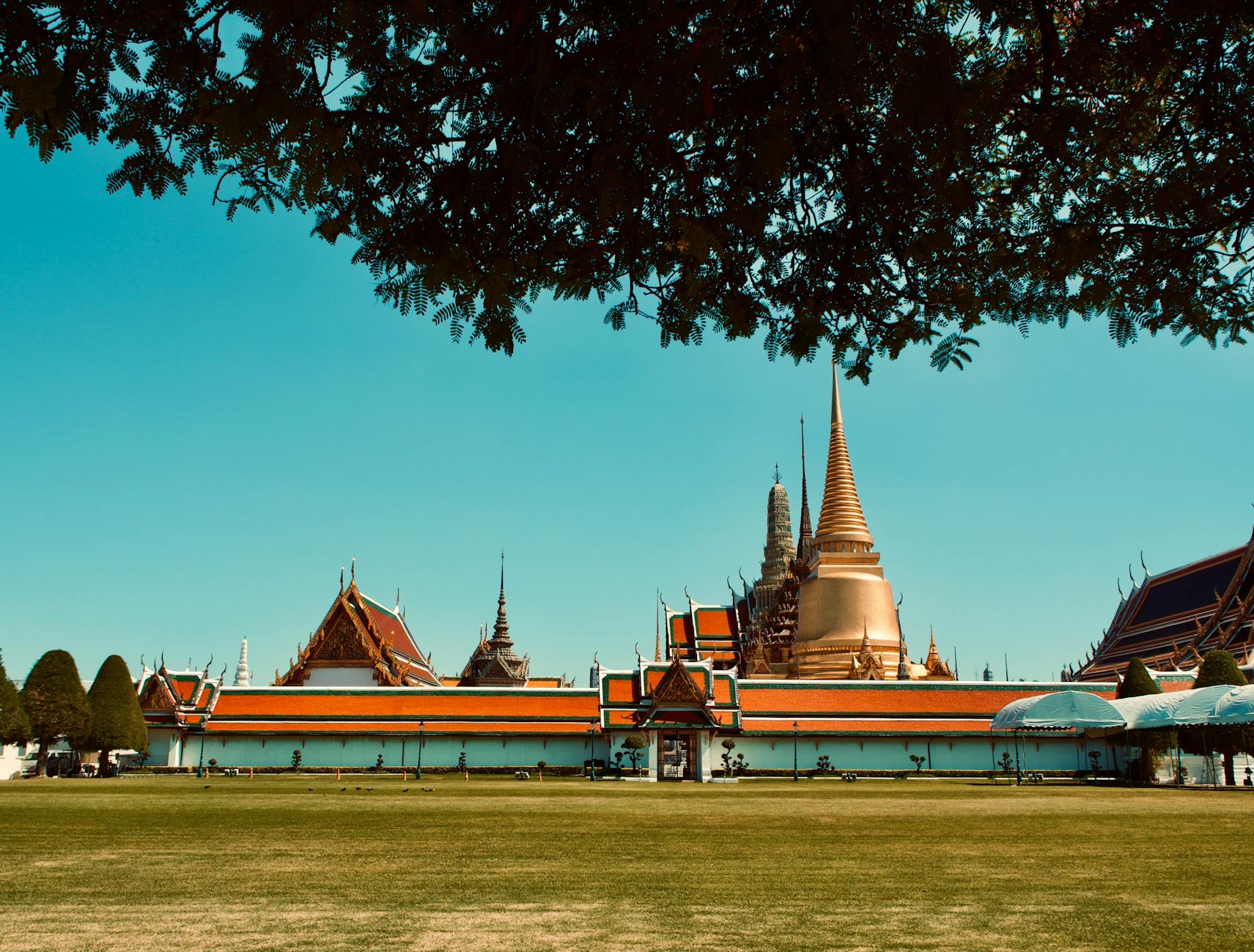 What to Expect — Samut Prakan