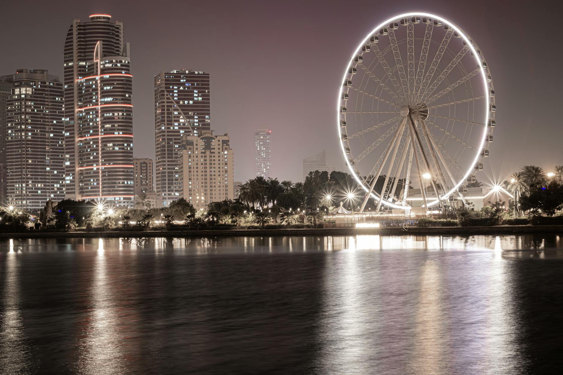 What to Expect — Sharjah